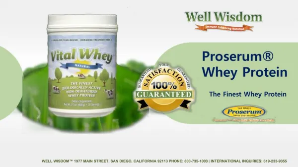 Best Grass Fed Whey Protein Powder - Well Wisdom