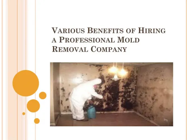 Various Benefits of Hiring a Professional Mold Removal Company