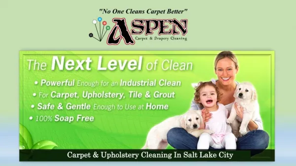 Carpet & Upholstery Cleaning In Salt Lake City