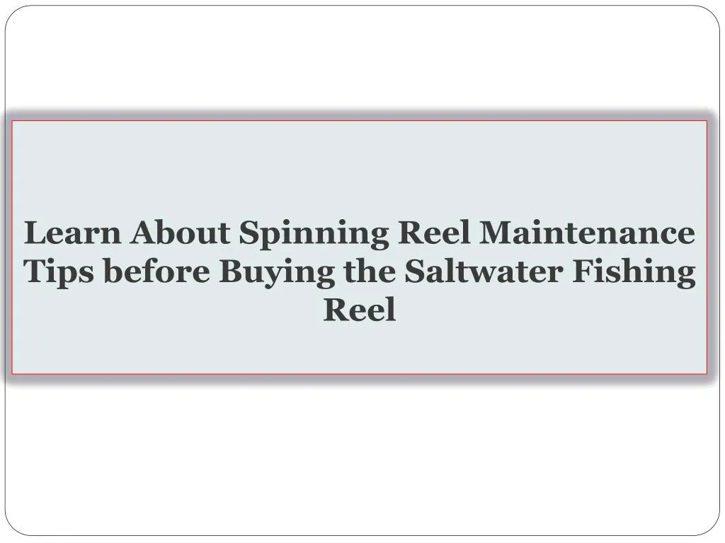 learn about spinning reel maintenance tips before buying the saltwater fishing reel