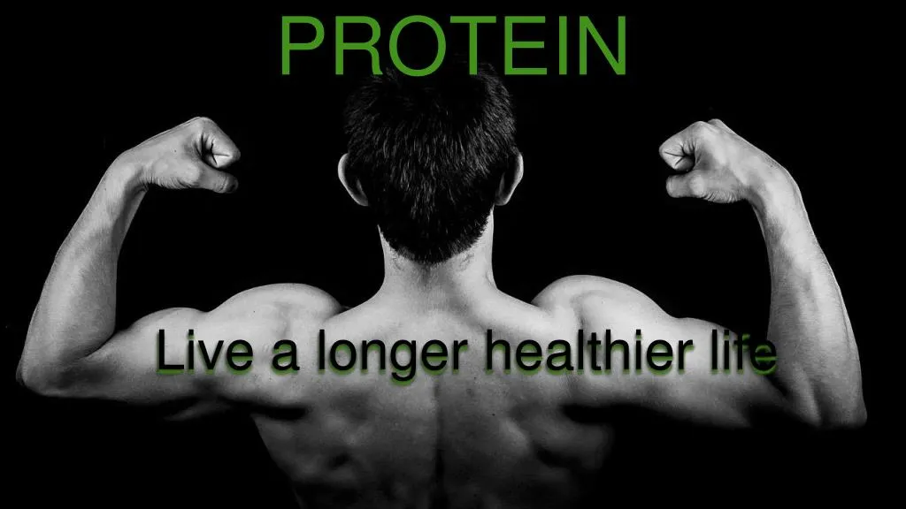 meatless protein