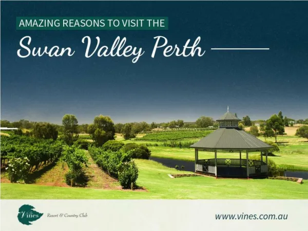 Amazing Reasons to Visit the Swan Valley Perth