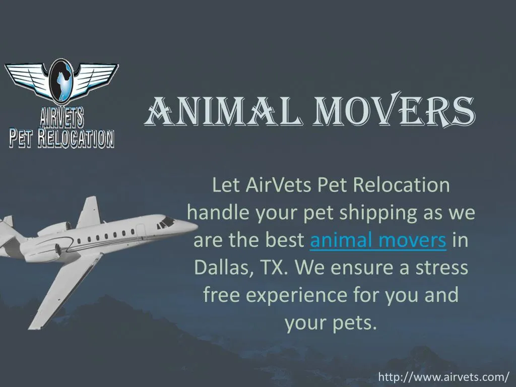 animal movers