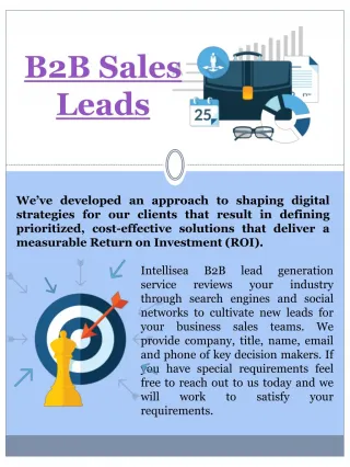 PPT - B2B Referral Platform For Outstanding Leads Generation And Sales ...