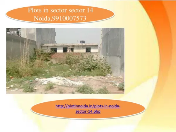 Plots for sale in sector 14 Noida, plots in sector 14 noida, plots in Noida, 9910007573