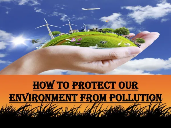 Caleb Laieski - How to Protect Our Environment from Pollution