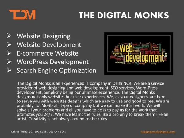 The Digital Monks- Web development services in delhi NCR