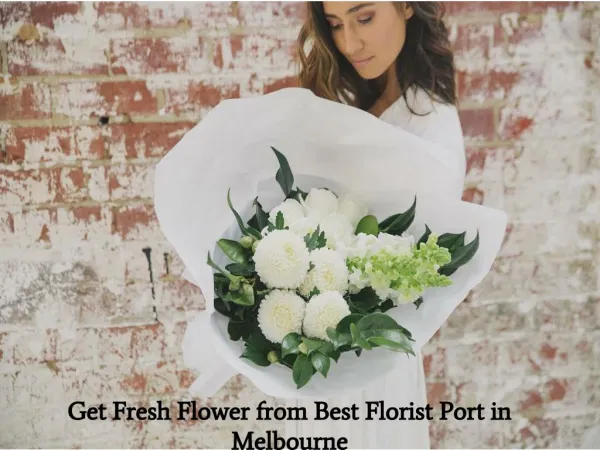Get Fresh Flower from Best Florist Port in Melbourne