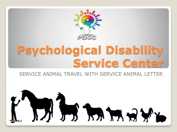 Service Animal Travel By Using Animal Letter