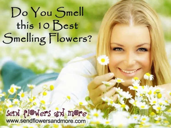 Do You Smell this 10 Best Smelling Flowers?