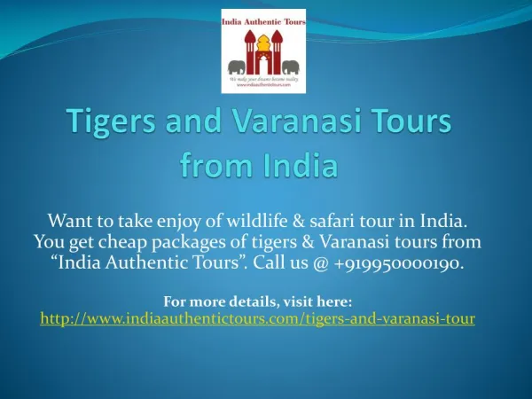 Tigers and Varanasi Tours from India
