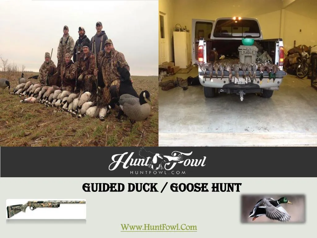guided duck goose hunt www huntfowl com