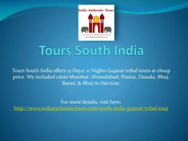 Tours south India