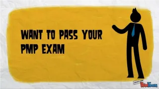 PMP Braindumps - slide 1