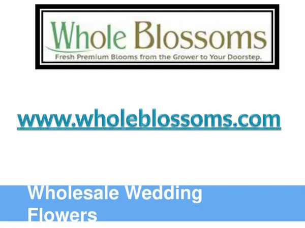 Wholesale Wedding Flowers - www.wholeblossoms.com