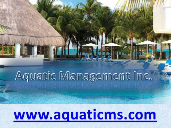 Commercial Aquatic Consulting Services