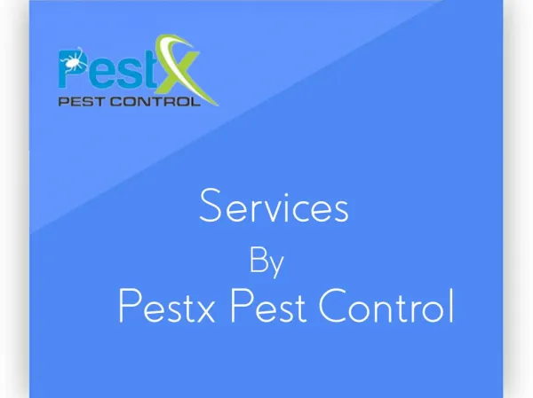 Services By Pestx Pest Control