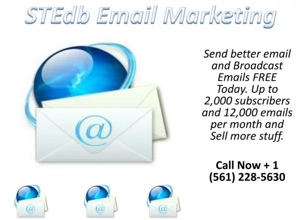 stedb email marketing