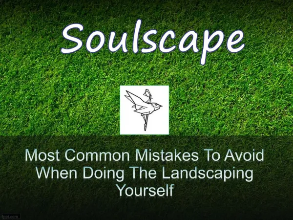 Most Common Mistakes To Avoid When Doing The Landscaping Yourself