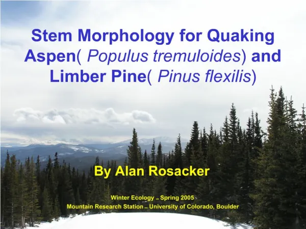 Stem Morphology for Quaking Aspen Populus tremuloides and Limber Pine Pinus flexilis