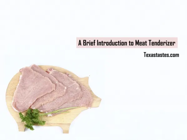 Electric Manual Meat Tenderizers - Meat Tenderizer