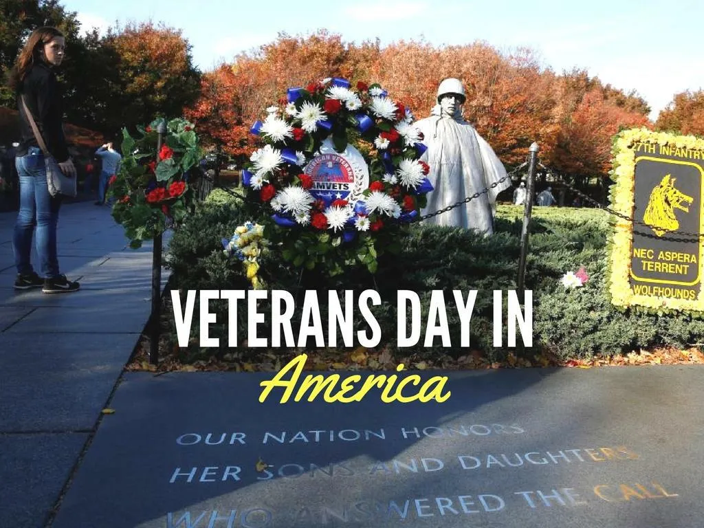 veterans day in america