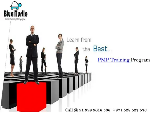 Get Pass with Best PMP Training Program Class