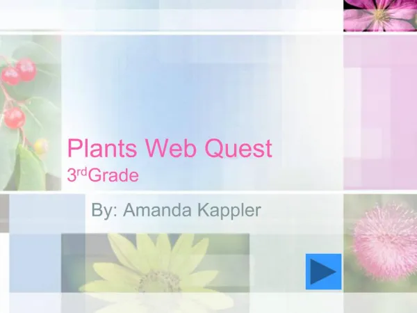 Plants Web Quest 3rd Grade