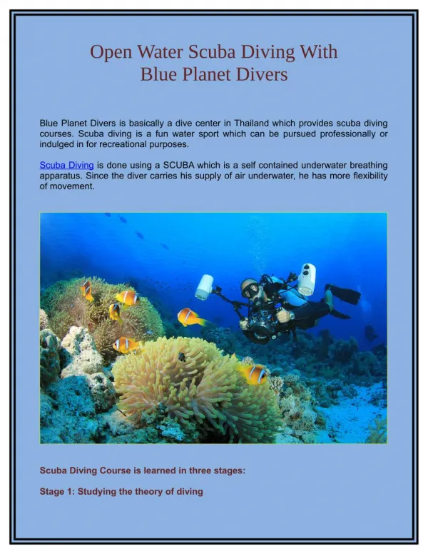 Open Water Scuba Diving with Blue Planet Divers