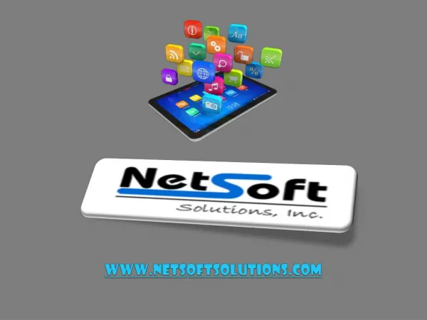 Custom Software Development by Netsoft Solutions