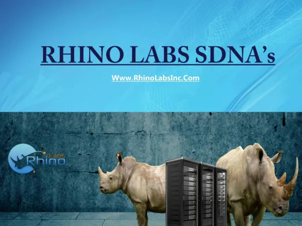 SDNA - Rhino Labs