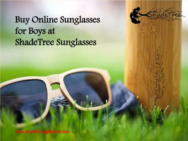 Best Sunglasses buy Online at ShadeTree Sunglasses