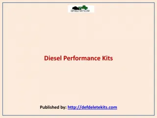 Def Delete Kits-Diesel Performance Kits