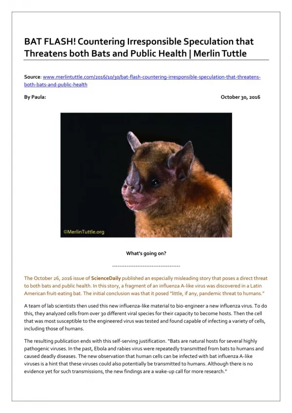 BAT FLASH! Countering Irresponsible Speculation that Threatens both Bats and Public Health