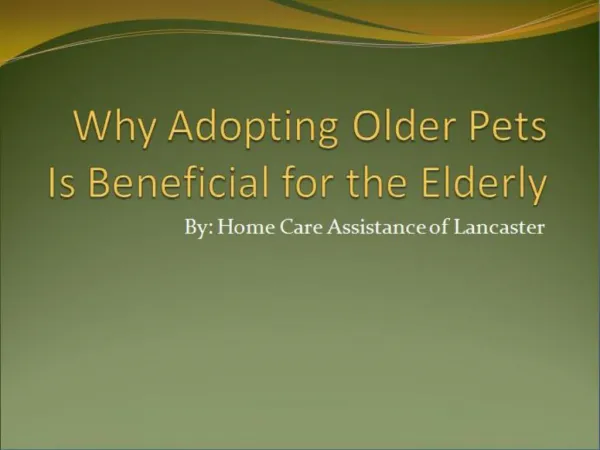 Why Adopting Older Pets Is Beneficial for the Elderly