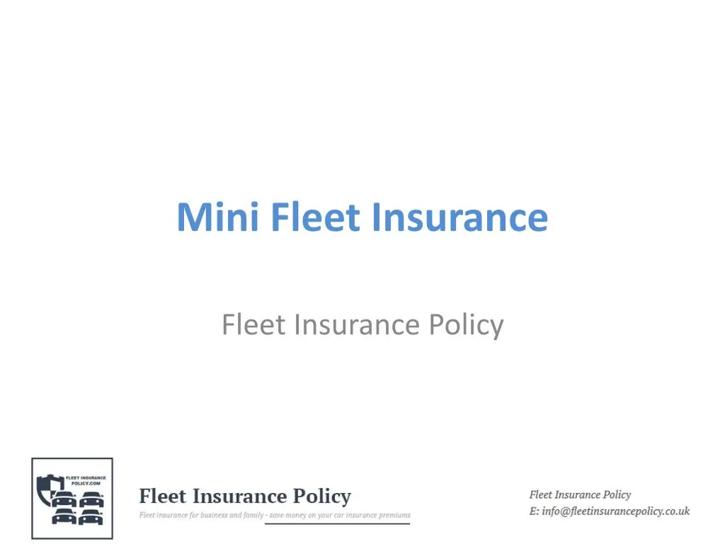 mini fleet insurance