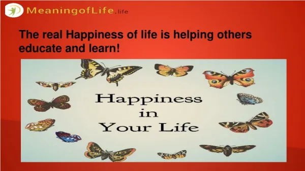 Real Happiness of Life