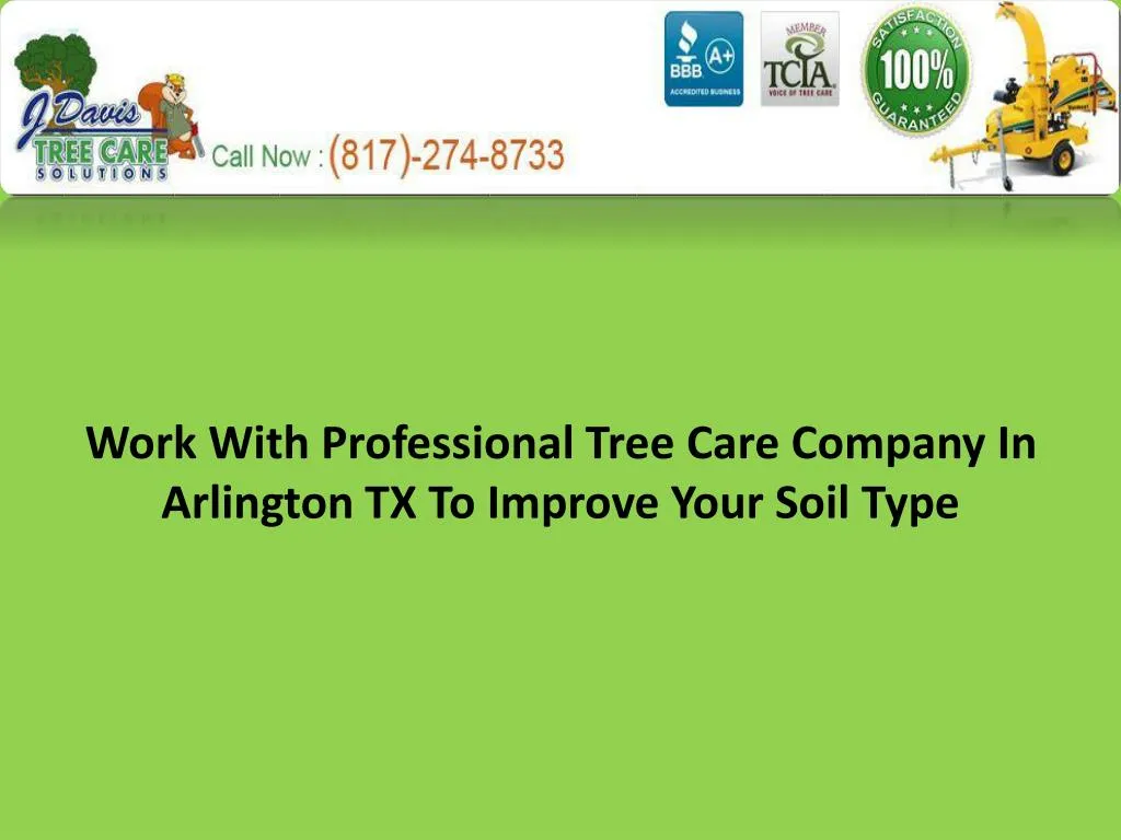 work with professional tree care company in arlington tx to improve your soil type