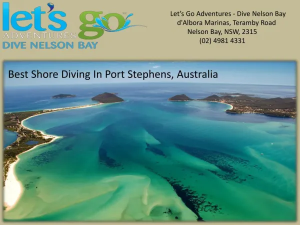 Best Shore Diving in Port Stephens, Australia