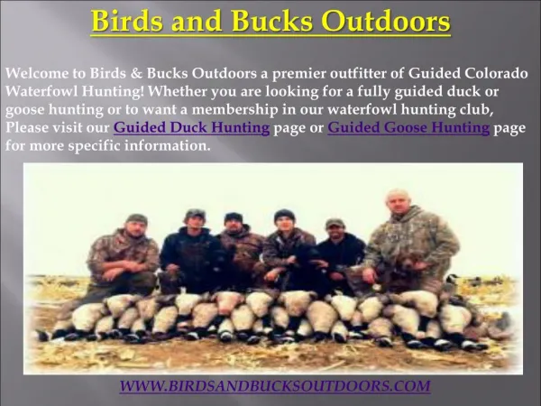 Guided Duck Hunting in Colorado