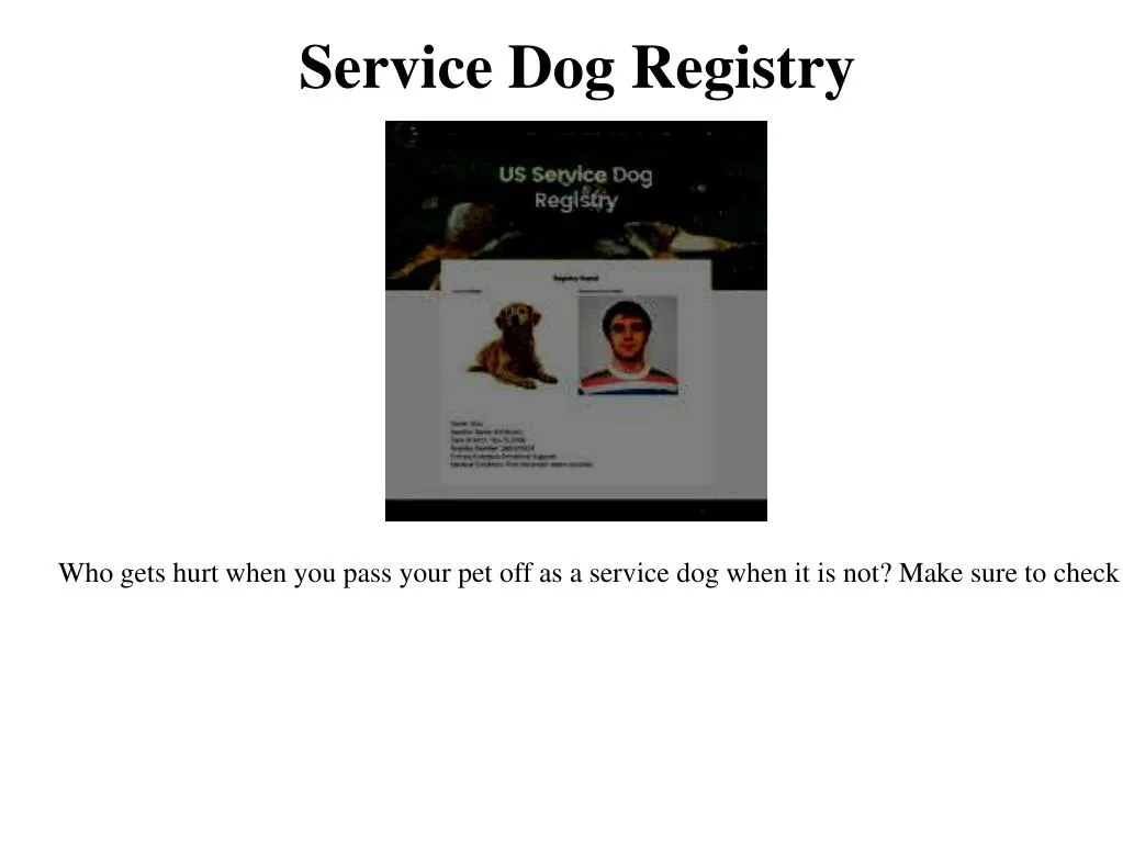 service dog registry