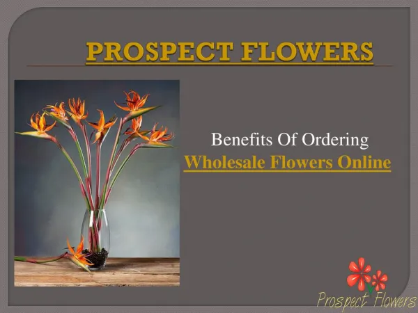 Order Wholesale Flowers Online – Prospect Flowers
