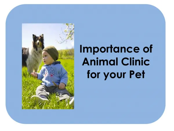 Importance of Animal Clinic for your Pet