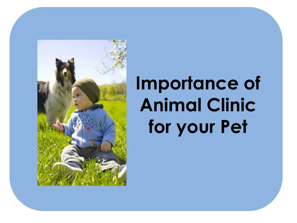 importance of animal clinic for your pet