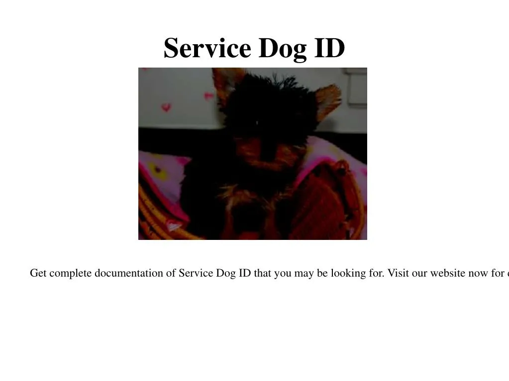 service dog id