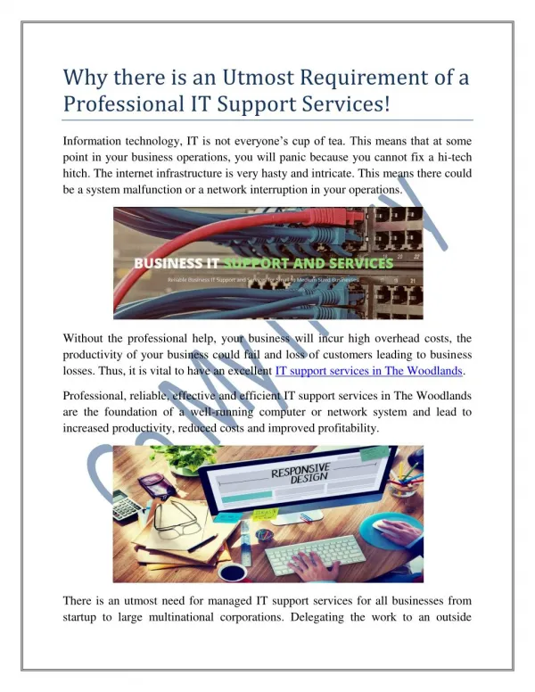 Why there is an Utmost Requirement of a Professional IT Support Services!