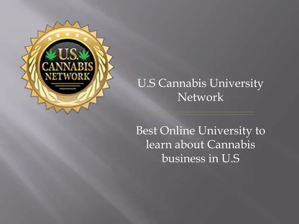 u s cannabis university network best online university to learn about cannabis business in u s