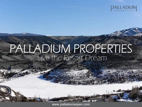Palladium Properties