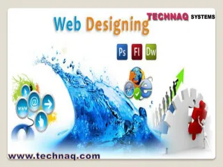 web design company in delhi provided the best solution