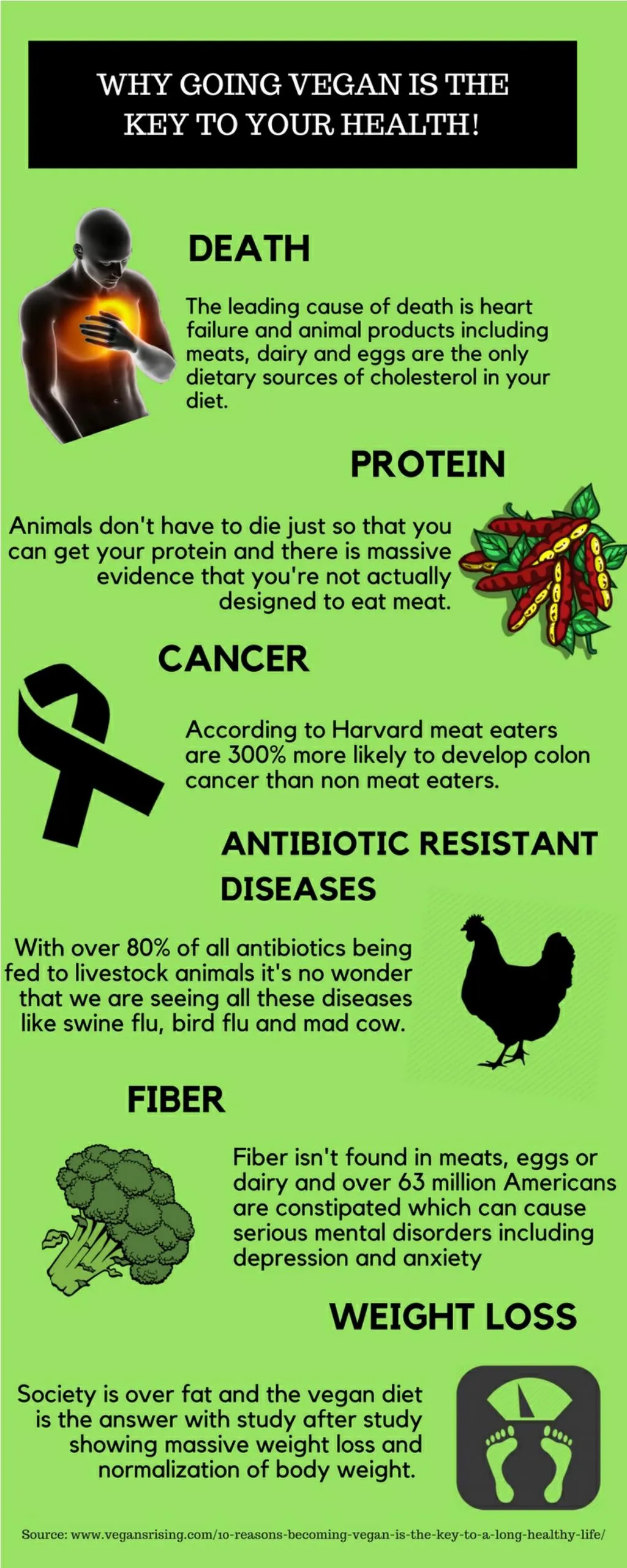 Resist and disorder. Go Vegan. Email why do people become Vegetarians.